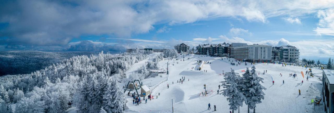 Stroll To Slopes, Village Area, Ski In-Out Mtlodge 304 Snowshoe Bagian luar foto